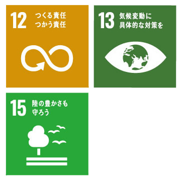 SDGs12 13 15